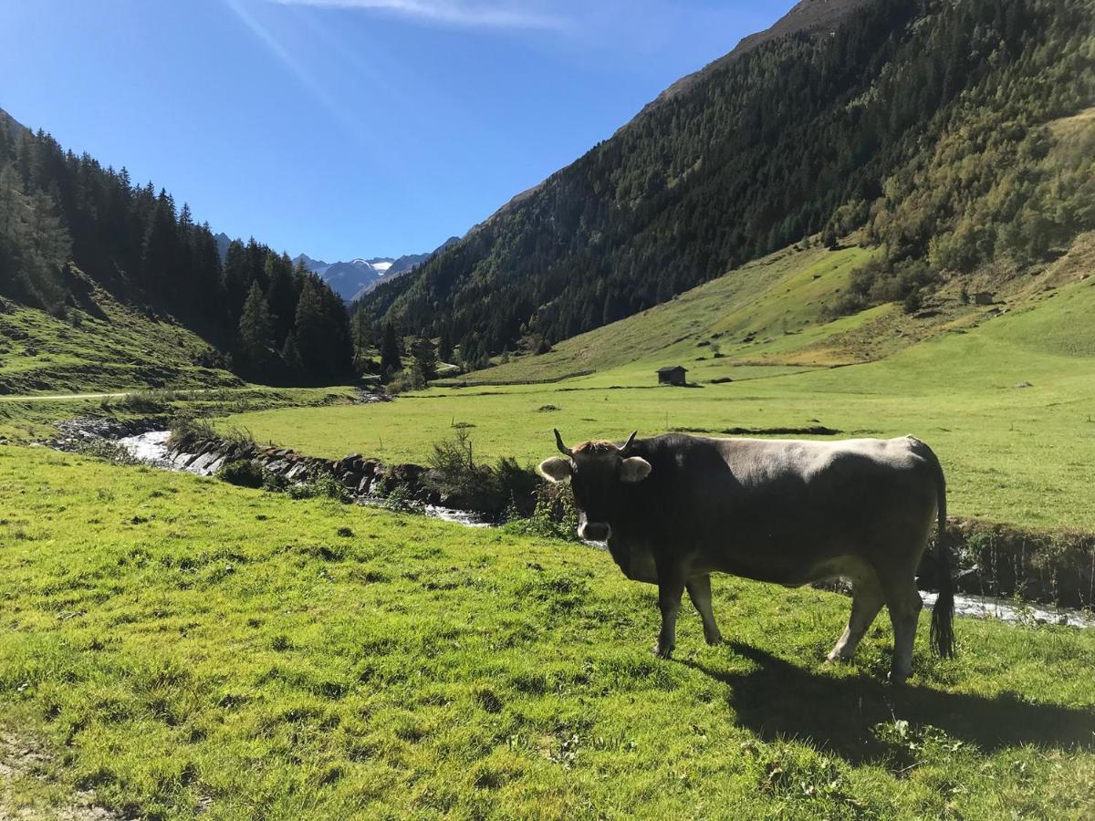 Hotel Almhof Neustift im Stubaital Extérieur photo